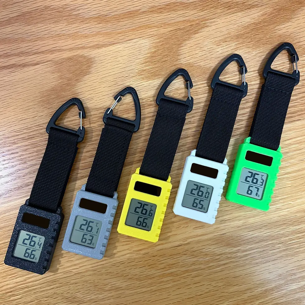 Thumbnail: Thermometer Keychain