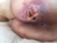 25-5-20_edited.jpg