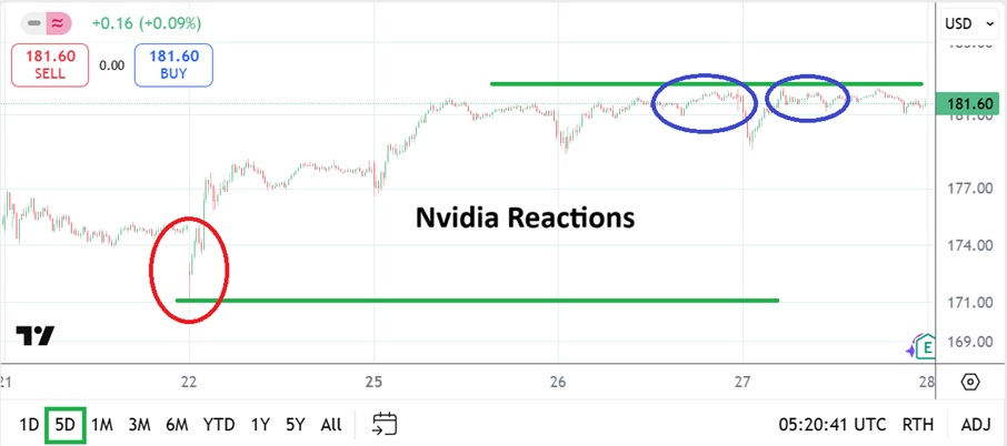 Nvidia Five Day Chart Early Morning as of 28th August 2025