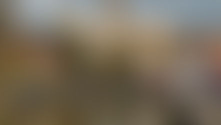 Sincil Bank Annual Report 2020