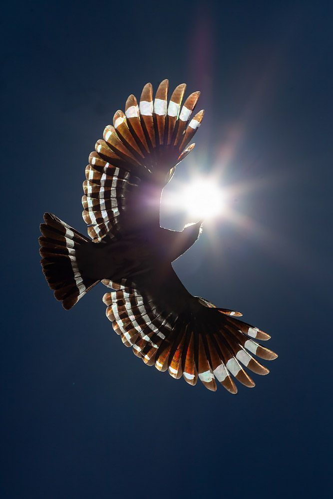 A Retreat to Remember Your True Voice!