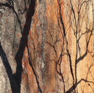 Kufunda Practice: TRUST