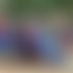 A Rhythm of Social Practices