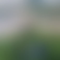 Gratitude for a year well lived