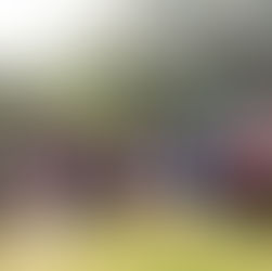 Arc of Time.... From Surviving to Thriving