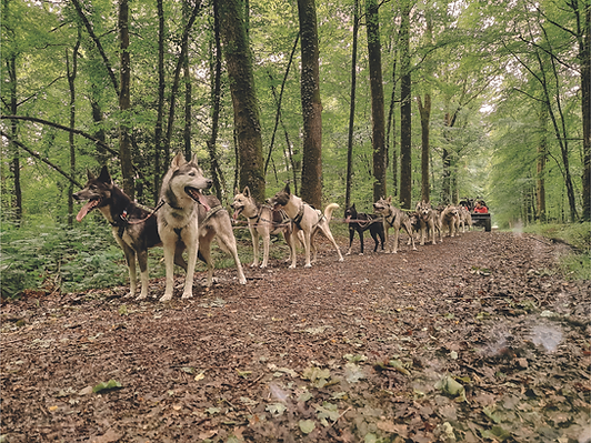 Design sans titre.png