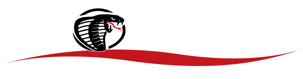 Logo Cobra NEW.png