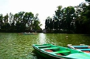 Yelagiri 1 Day Tour Package From Chennai