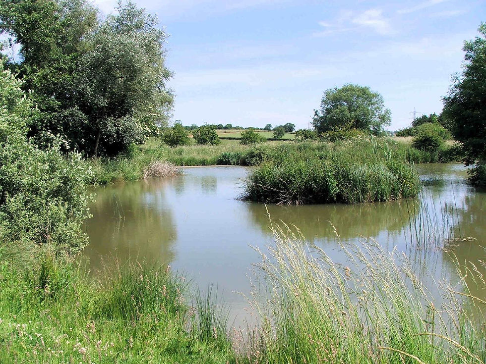 Our nature reserve