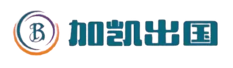 t (2)_edited.png