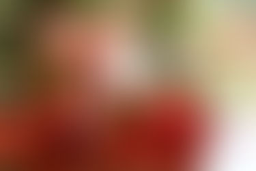 Лучший твой подарочек — это…