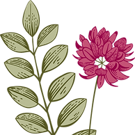 植物学           