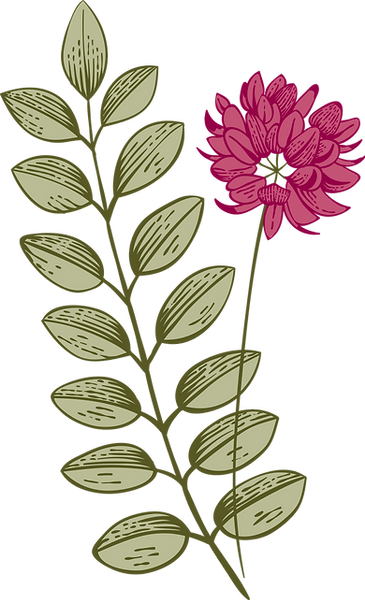 Botany