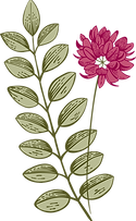 Botany