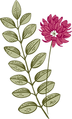 Botany
