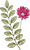 Botany
