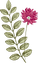 식물학
