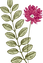Botany