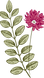 Pink Flower and Leaf