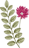 Pink Flower and Leaf
