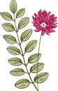 植物学