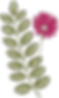 Botany