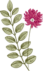 Botany