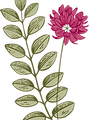植物学