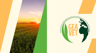 DEEP DIVE INTO THE GEAVET BLUEPRINT