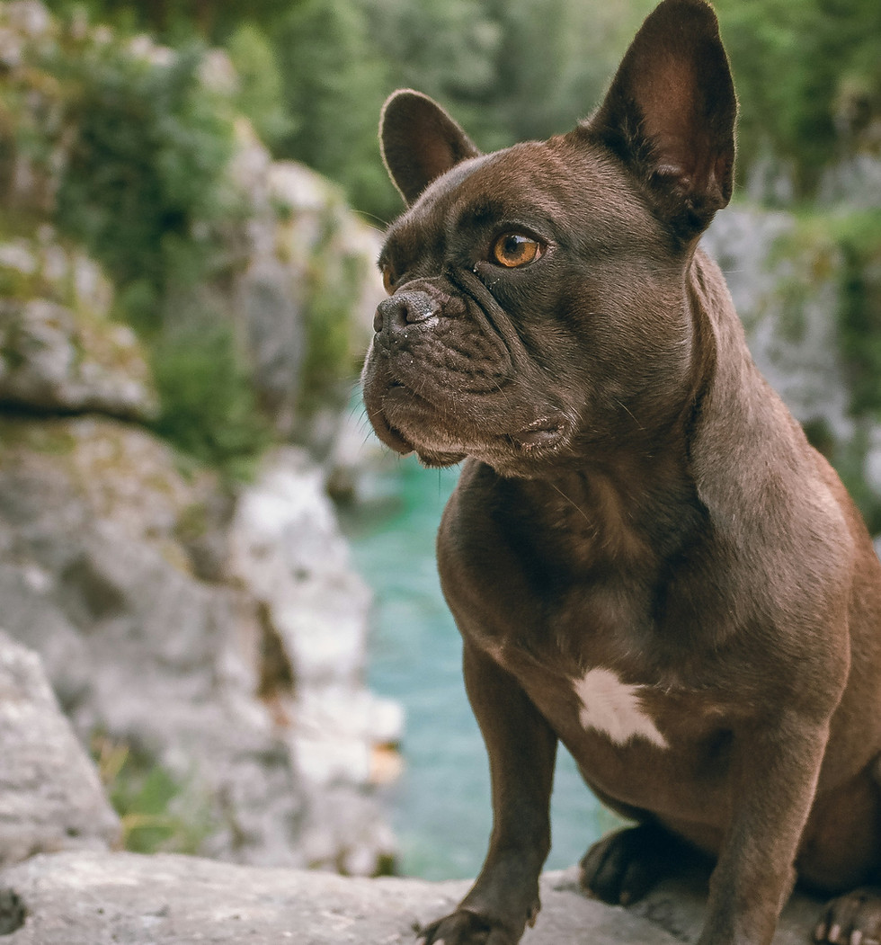 hendrik-kespohl-UnlhuW_Ha1Q-unsplash_edi