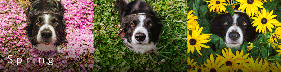 Year-long protection_BillBoard_970x250px_.gif