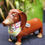 Thumbnail: Pansy the Dashshund 3D Dogs
