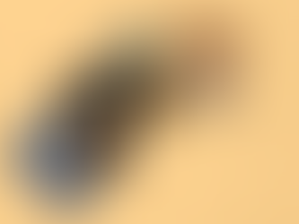 Morpheus Publishing Book Collection - Grieving for my baby, The Belief Shift, The Mulga Man, Epiphany and the Shopping Trolley