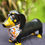 Thumbnail: Pansy the Dashschund 3D Dogs