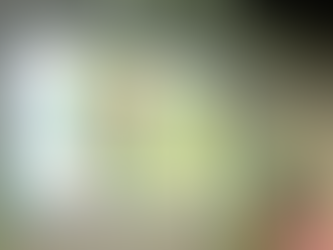 Justine Martin stands in front of a presentation screen displaying a colorful “Vision Board” slide.