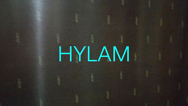 Hylam Sheets, Copperclad Laminates, Fibreglass Epoxy Laminates, Nylon Rods & Rings, Cast Nylon Rods & Rings, Syndanio Sheets, Acrylic sheets, Teflon Sheet/Rods, Delrin Rods, Sheets