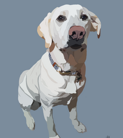 Untitled_Artwork copy.png