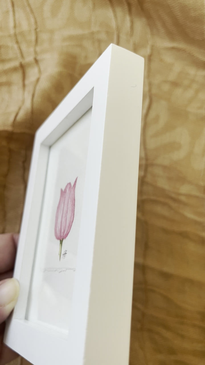 Thumbnail: Tulip of New Dawn