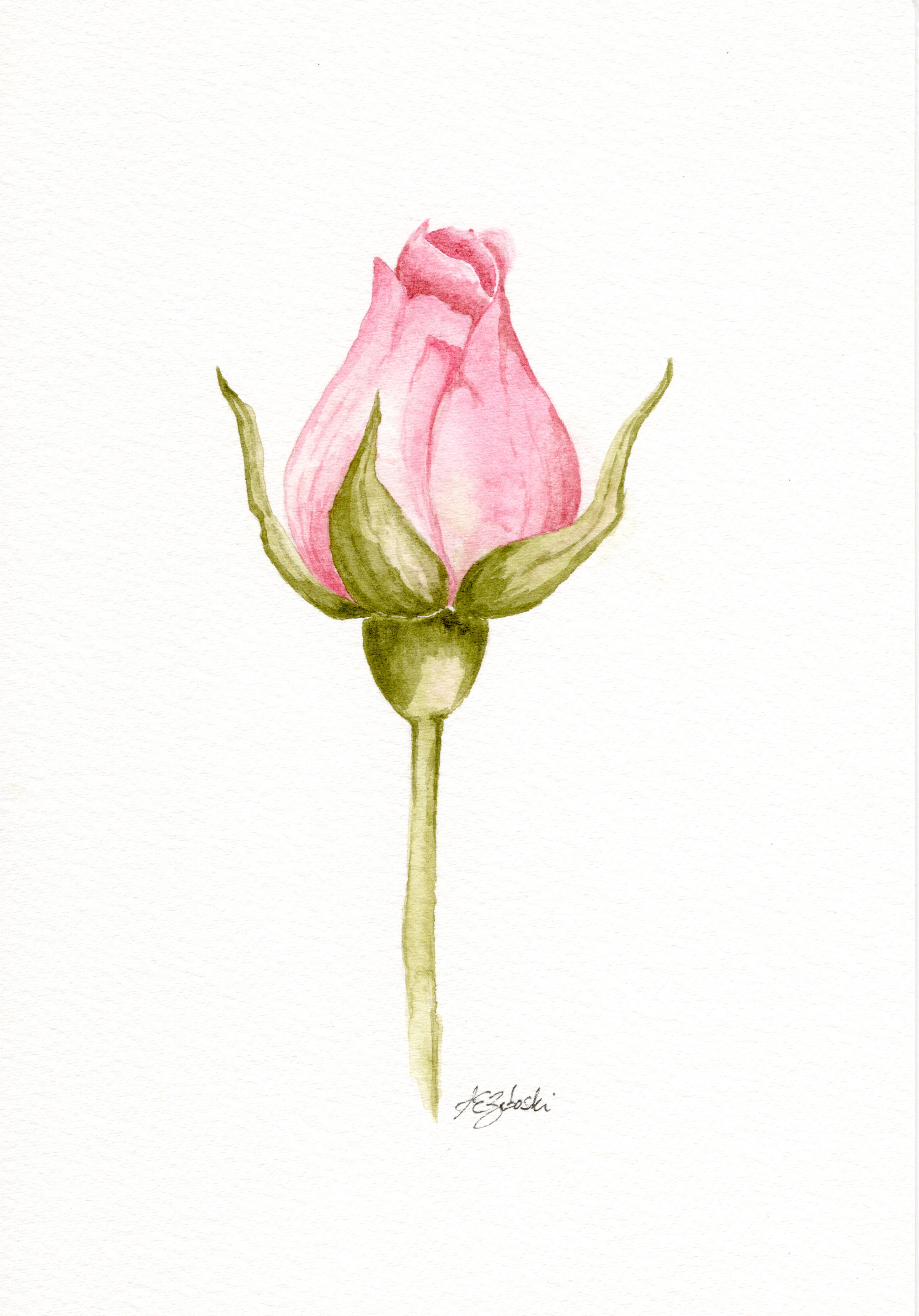 Enchanted Rosebud