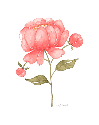 Peony Cluster 8x10 High Res.png