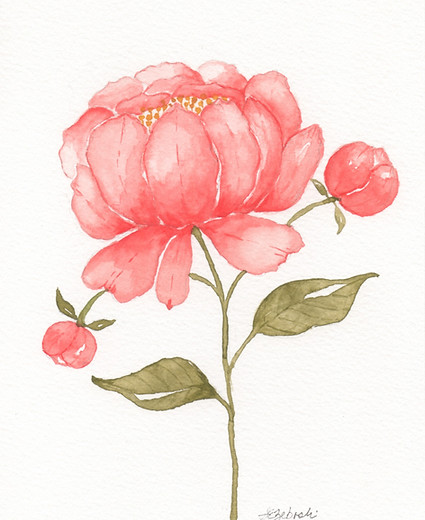Peony
