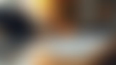 Empowering Brands with Creative Consultancy Services