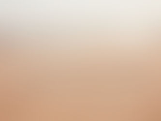 Coming Home to the Present: The Healing Power of Mindfulness-Based Counseling