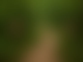 Letting Go of the Struggle: How ACT Helps You Move Forward Without Fixing Everything