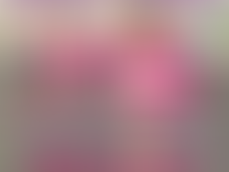 Top 5 Reasons Why Our Community Loves On Pointe Arts