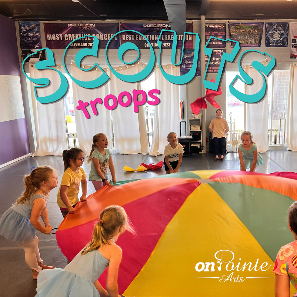 Scouts Troops!
