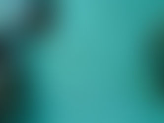 The Role of Sex and Smut in Non-Romance Novels