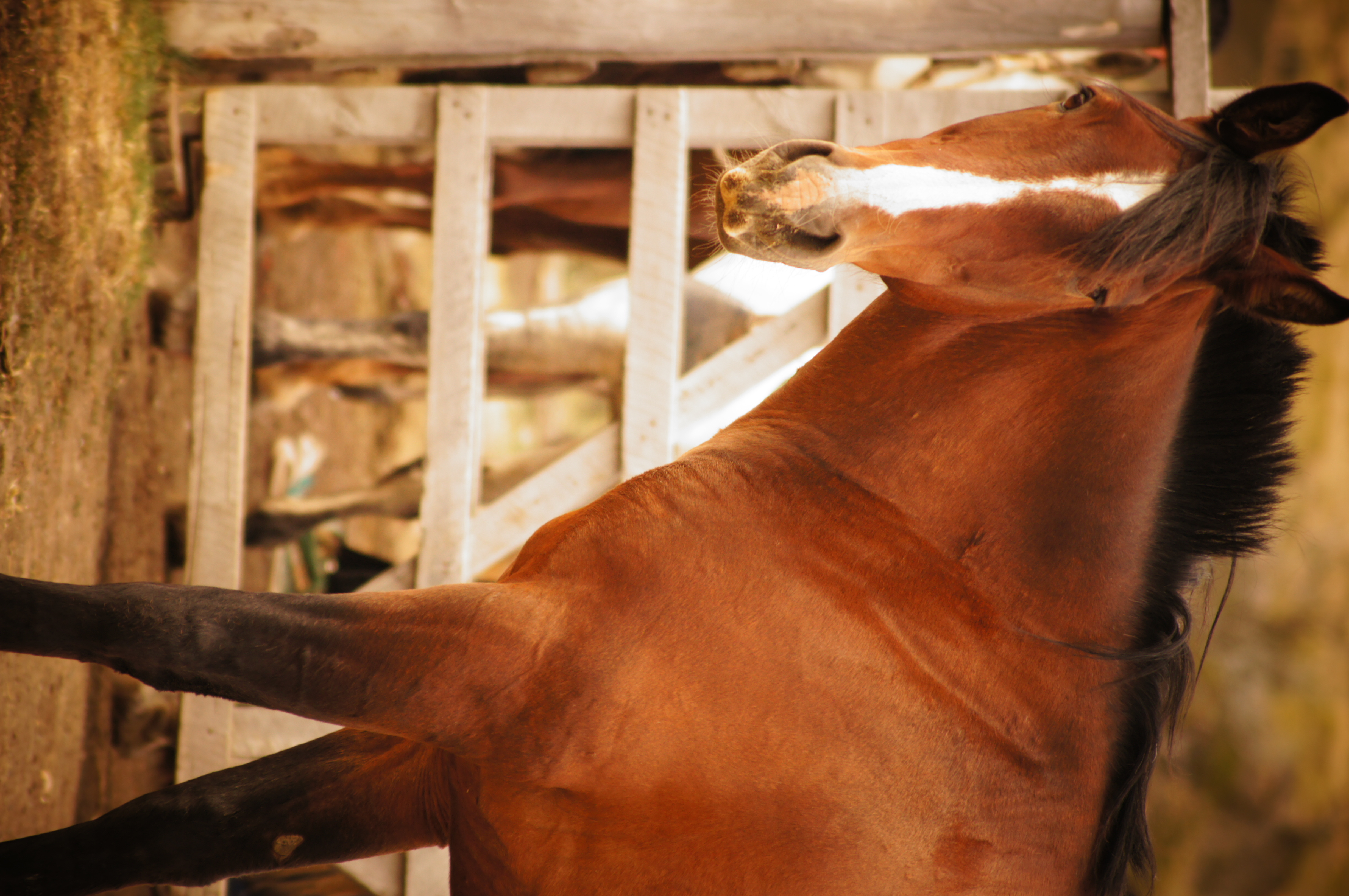 Estancia Tercera Barranca