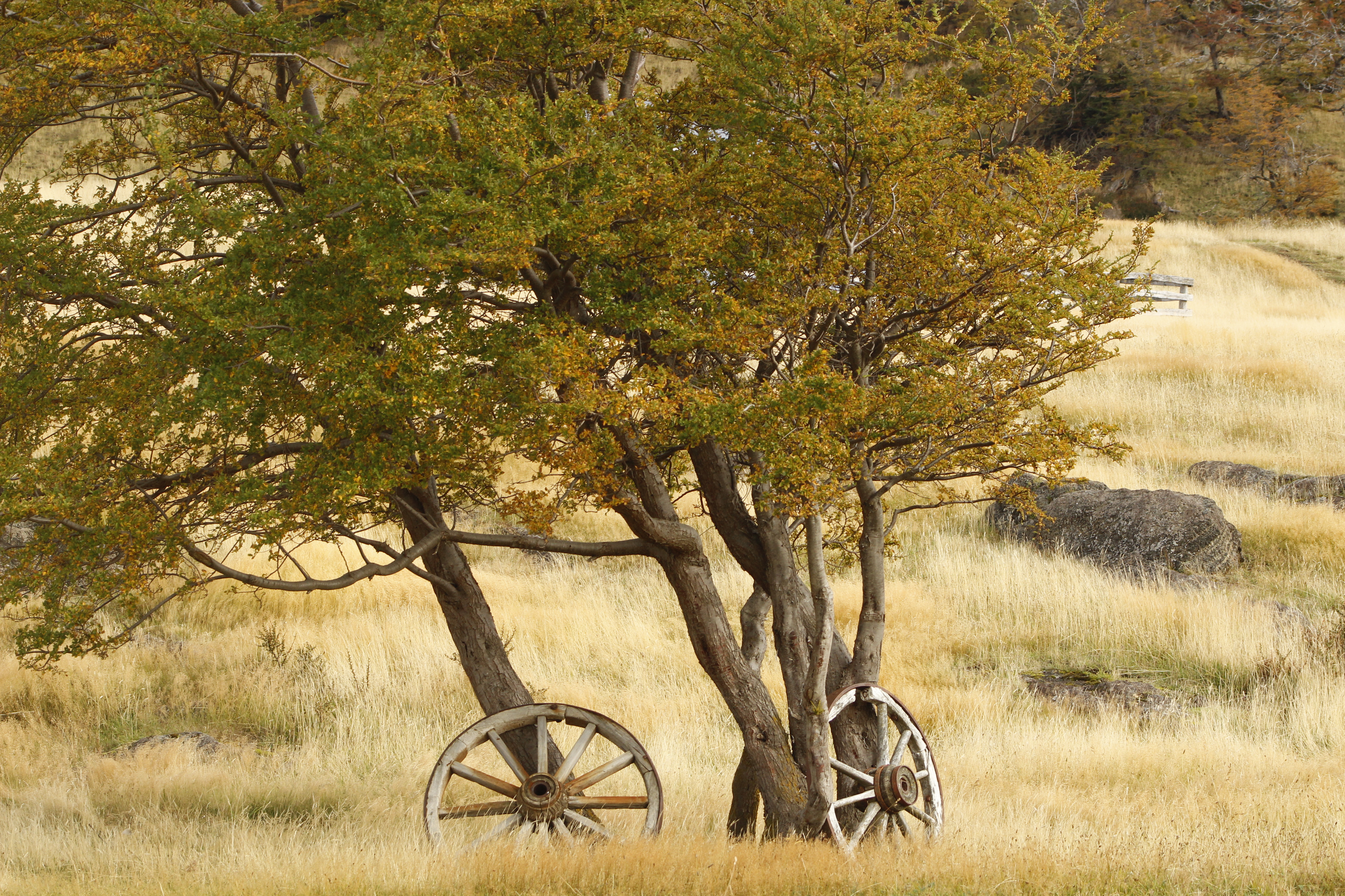 Estancia La Peninsula