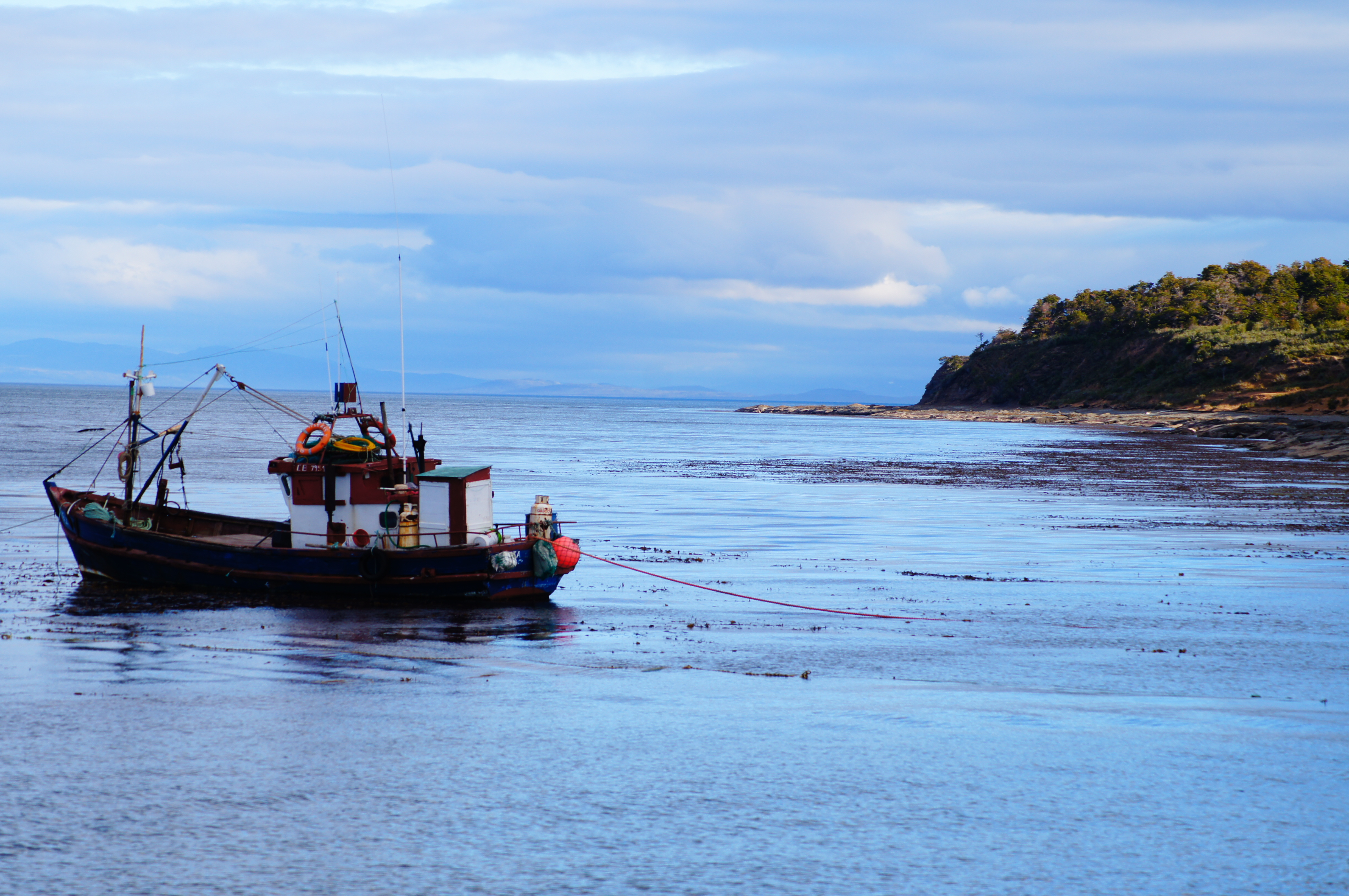 Punta Arenas